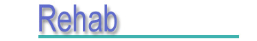 Enter Spinal Rehabilitation Section Here